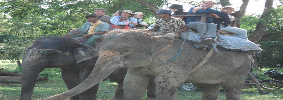 Chitwan National Park Safari